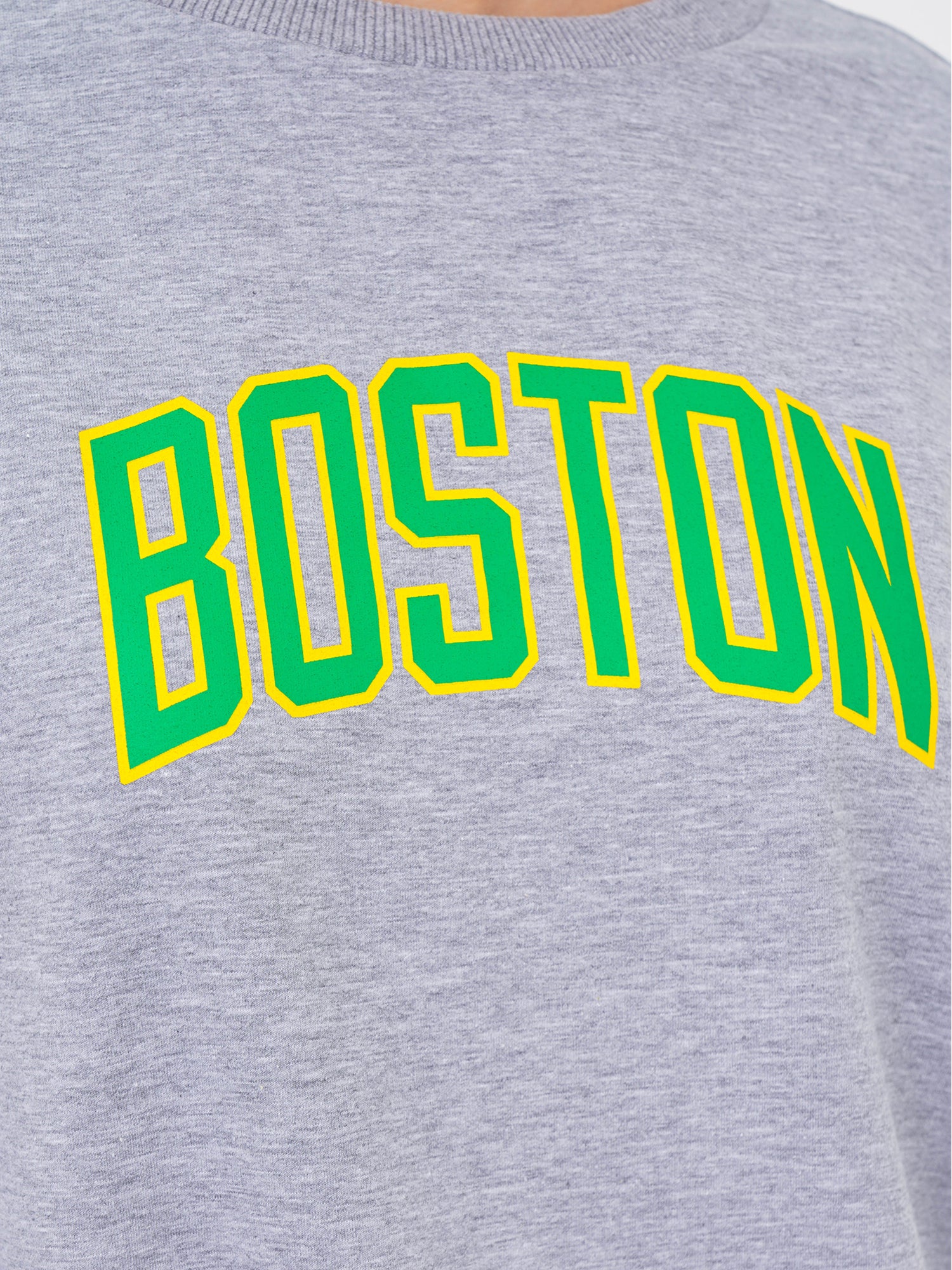 Freshlions Sweatshirt  Boston Print