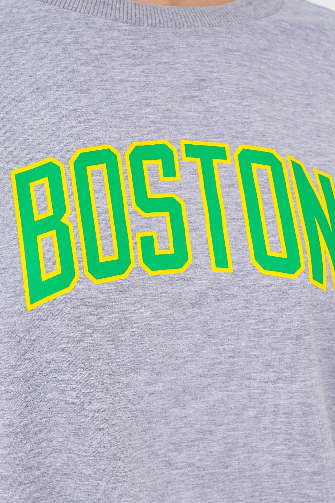 Freshlions Sweatshirt  Boston Print