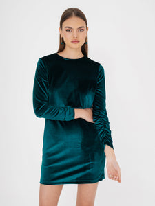 Freshlions Velvet Dress